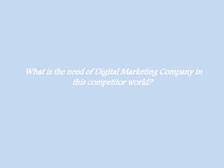 What is the need of Digital Marketing Company in this competitor world?