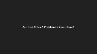 Are Dust Mites A Problem In Your Home?