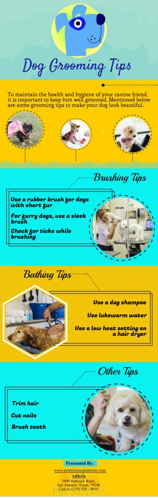 Dog Grooming Tips