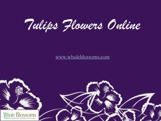 Tulips Flowers Online - www.wholeblossoms.com