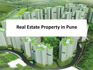 Real Estate Property in Pune