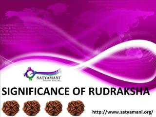 Rudraksha Online Store In Delhi, India