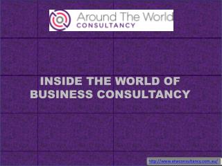 INSIDE THE WORLD OF BUSINESS CONSULTANCY