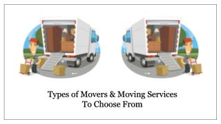 Professional Movers Company in Dubai