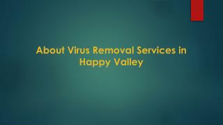 About Virus Removal Services in Happy Valley