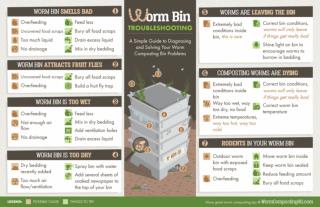 Worm Composting Bin Troubleshooting Infographic