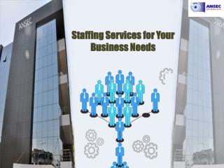 Staffing Services for Your Business Needs