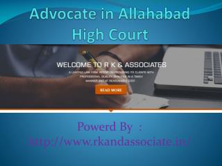 Advocate in Allahabad High Court