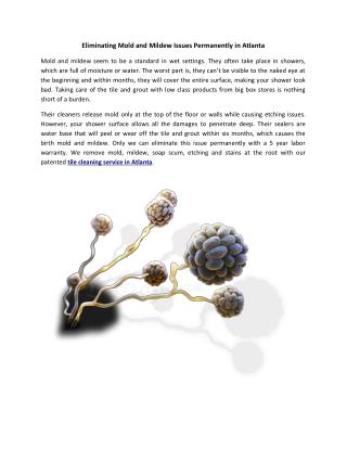 Mold and Mildew Remediation Services in Atlanta, GA