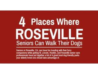4 Places Where Roseville Seniors Can Walk Their Dogs
