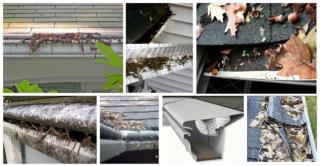 All about gutter guard system