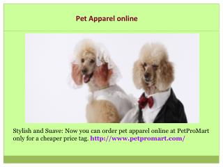 Dog Toys Online