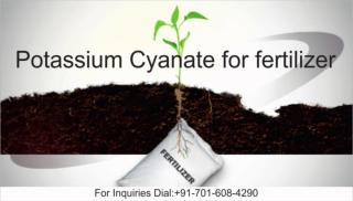 Potassium Cyanate For fertilizer