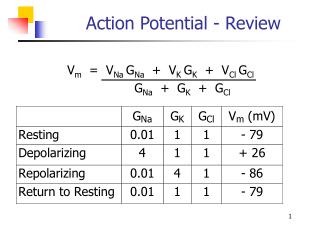 Action Potential - Review
