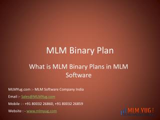 MLM Binary Plan