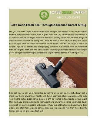 Carpet Cleaning in Washington