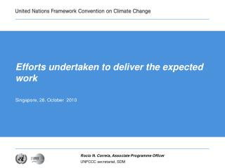 Efforts undertaken to deliver the expected work