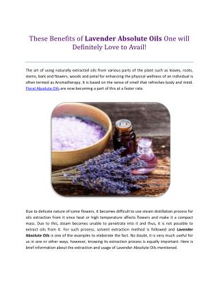 These Benefits of Lavender Absolute Oils One will Definitely Love to Avail!