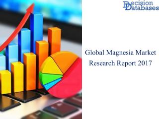 Worldwide Magnesia Market Manufactures and Key Statistics Analysis 2017