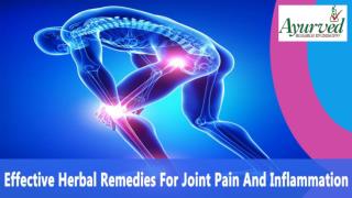 Effective Herbal Remedies For Joint Pain And Inflammation