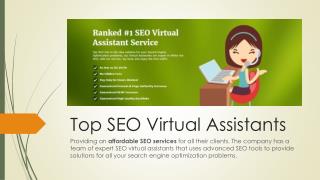 Top SEO VAs Providing An Affordable SEO Services