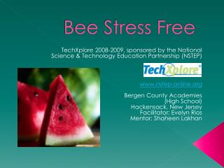 Bee Stress Free
