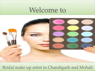 Bridal make up artist in chandigarh