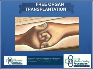 Organ Transplantation Services