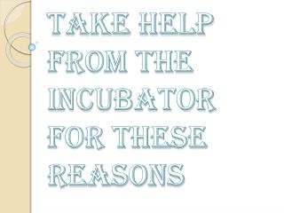 Finding Incubator to Providing You Guidance