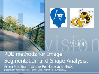 PDE methods for Image Segmentation and Shape Analysis: