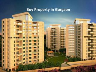 Buy Property in Gurgaon