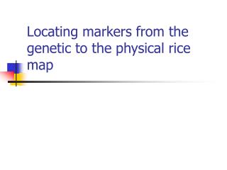 Locating markers from the genetic to the physical rice map