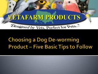 Choosing a Dog De-worming Product – Five Basic Tips to Follow