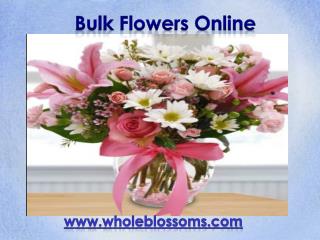 Bulk Flowers Online - www.wholeblossoms.com