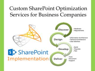 Custom SharePoint Optimization Services for Business Companies
