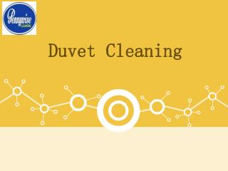Duvet Cleaning
