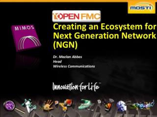 Creating an Ecosystem for Next Generation Network (NGN)