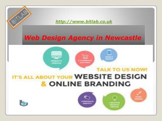 Web Design Agency In Newcastle