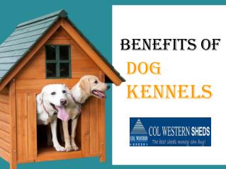 Benefits of Dog Kennels