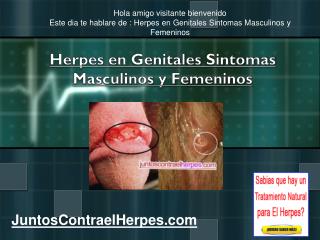 Herpes en Genitales Sintomas Masculinos y Femeninos