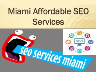 Miami Affordable SEO Services