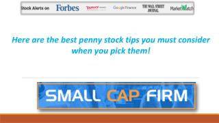 Here are the best penny stock tips you must consider when you pick them!