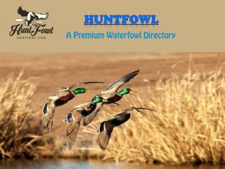 Guided Waterfowl Hunting