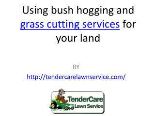 Using bush hogging and grass cutting services for your land