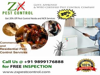 Get 20% Off Pest Control Noida and NCR Services