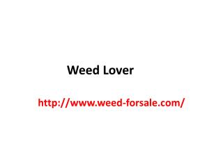 Weed lover