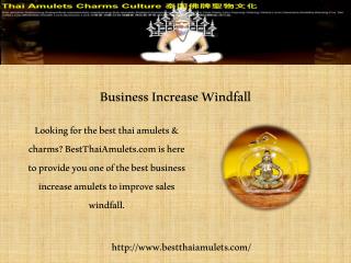 Business Increase Windfall