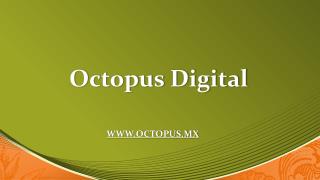 Octopus Digital
