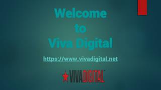 Website Design ​on the Sunshine Coast - Viva Digital
