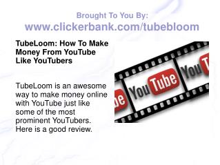 TubeLoom: How To Make Money From YouTube Like YouTubers